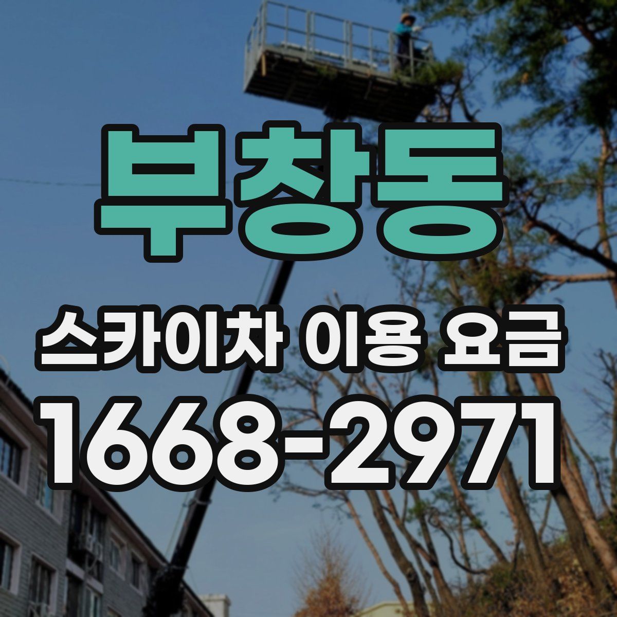 부창동 스카이차 이용 요금