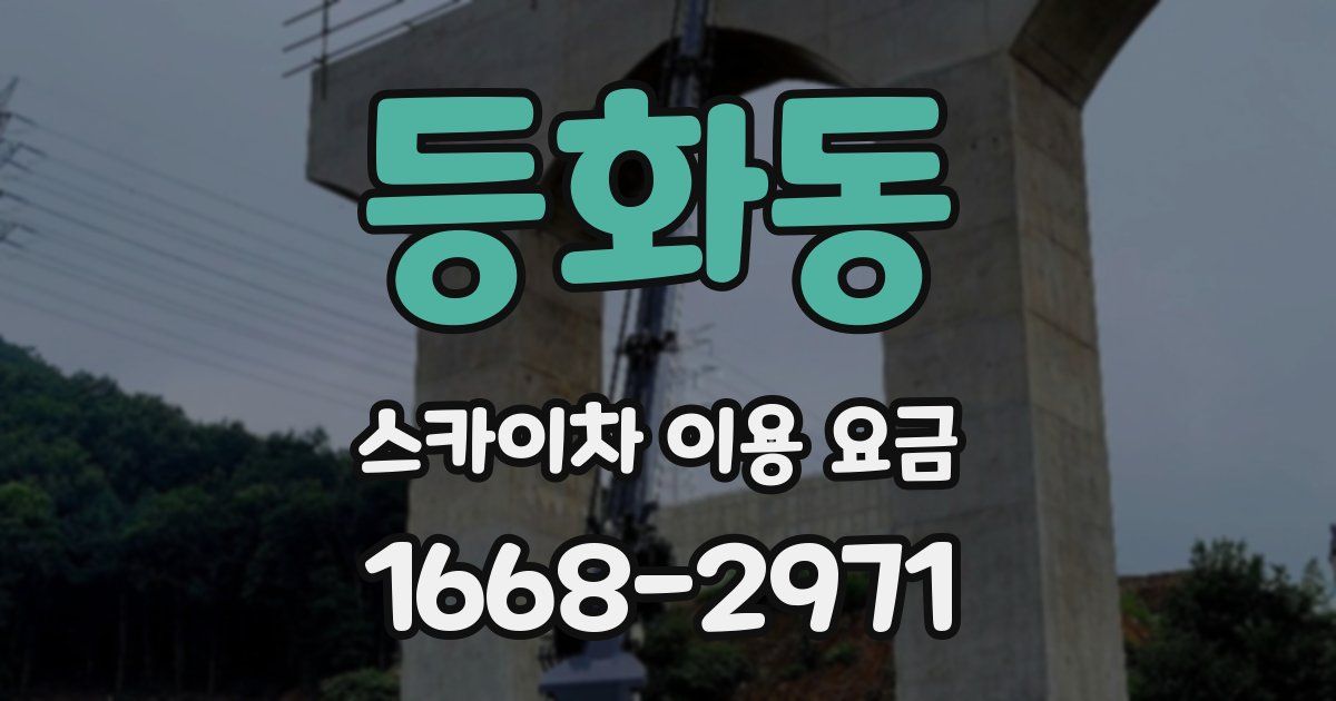 등화동 스카이차 이용 요금