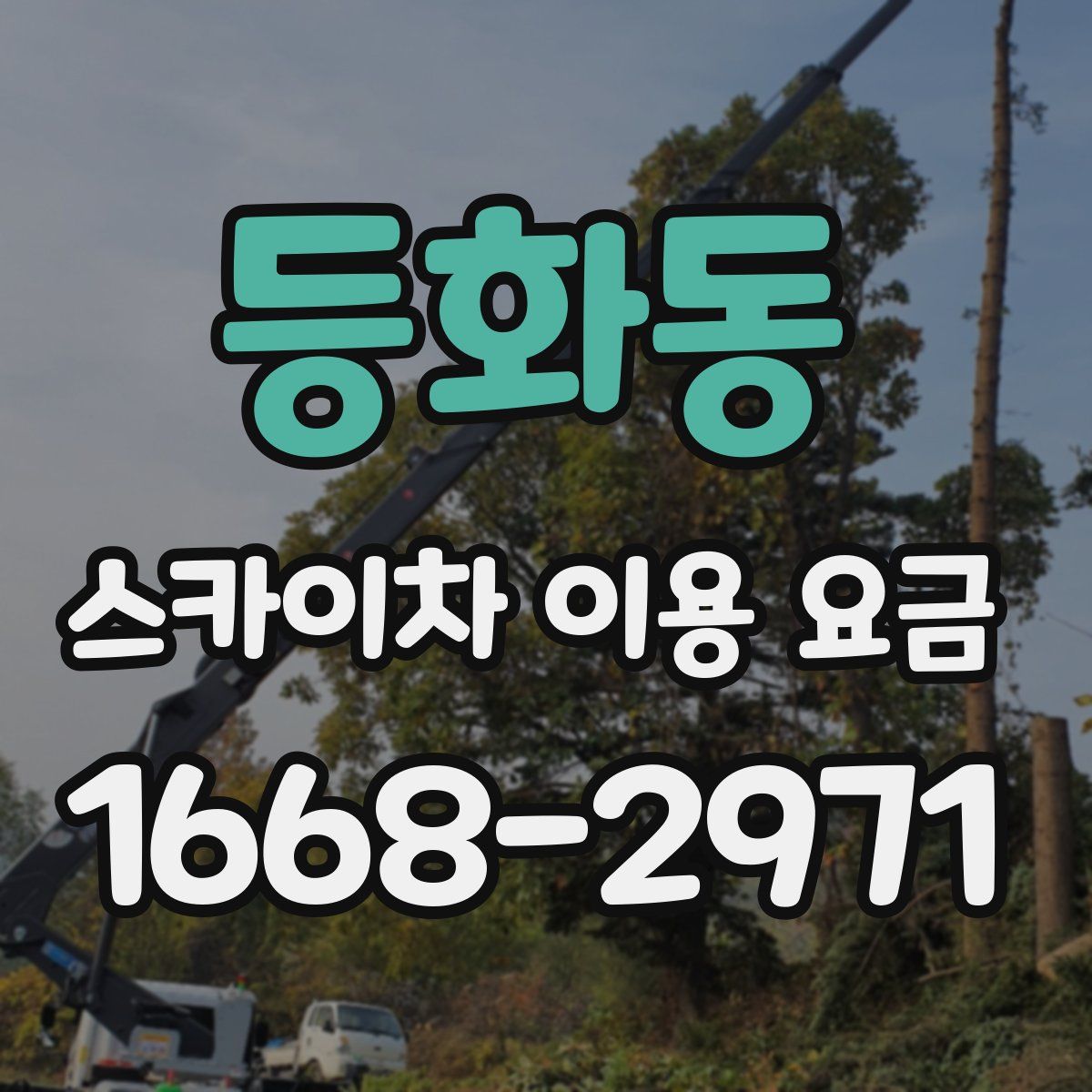 등화동 스카이차 이용 요금