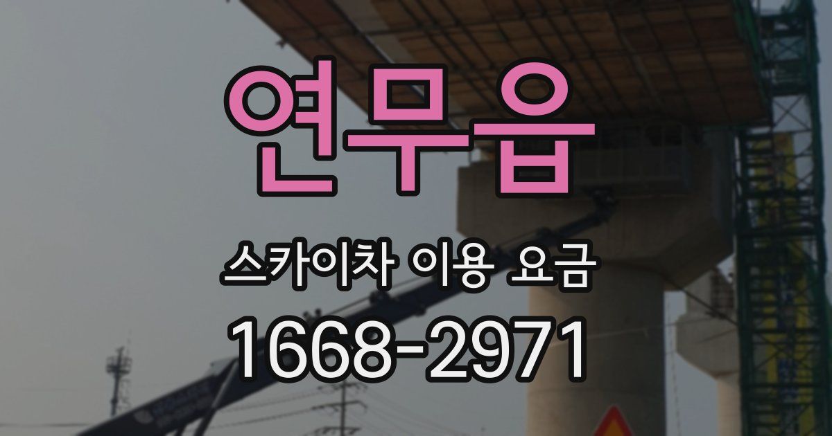 연무읍 스카이차 이용 요금