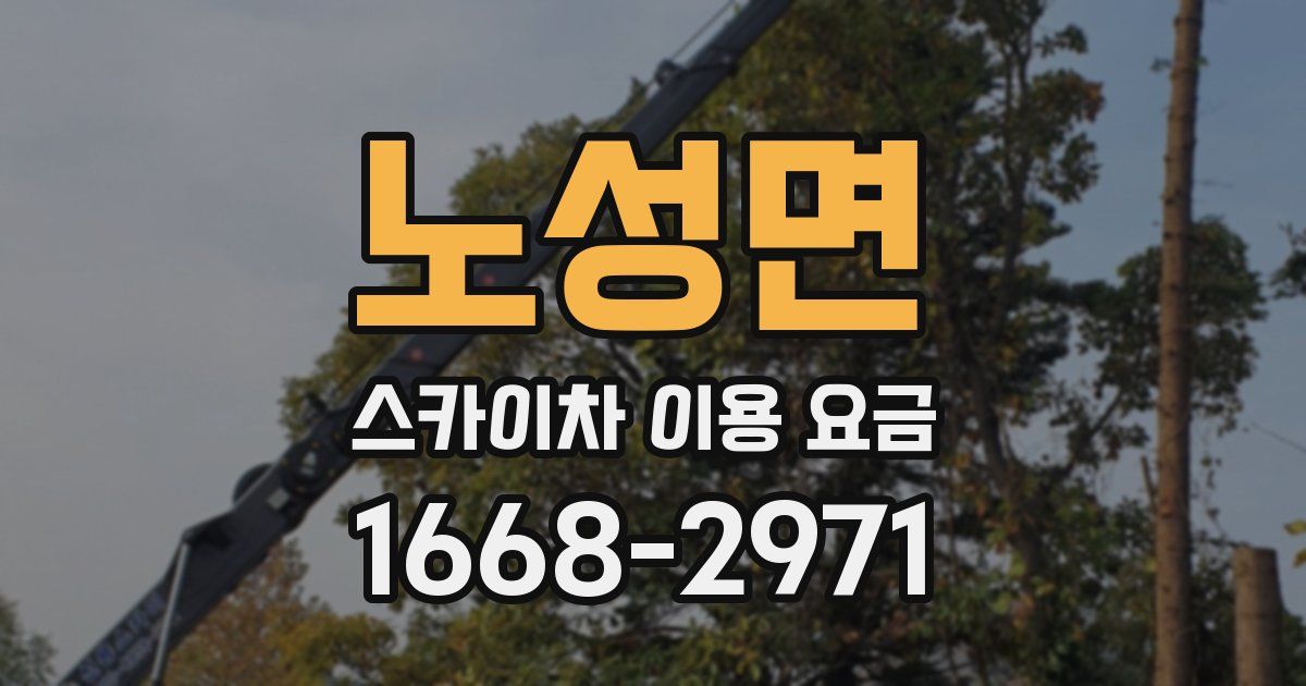 노성면 스카이차 이용 요금