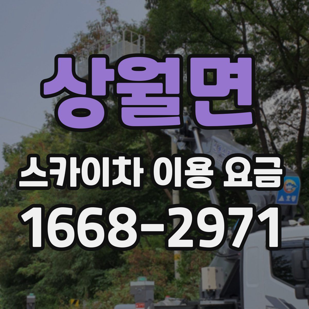 상월면 스카이차 이용 요금
