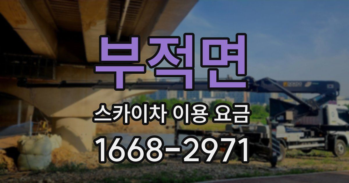 부적면 스카이차 이용 요금