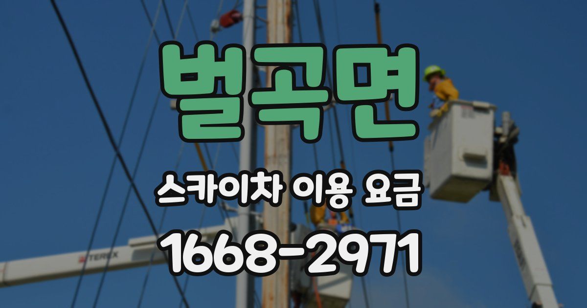 벌곡면 스카이차 이용 요금
