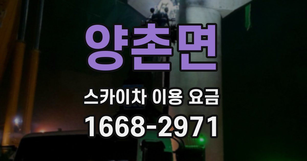양촌면 스카이차 이용 요금