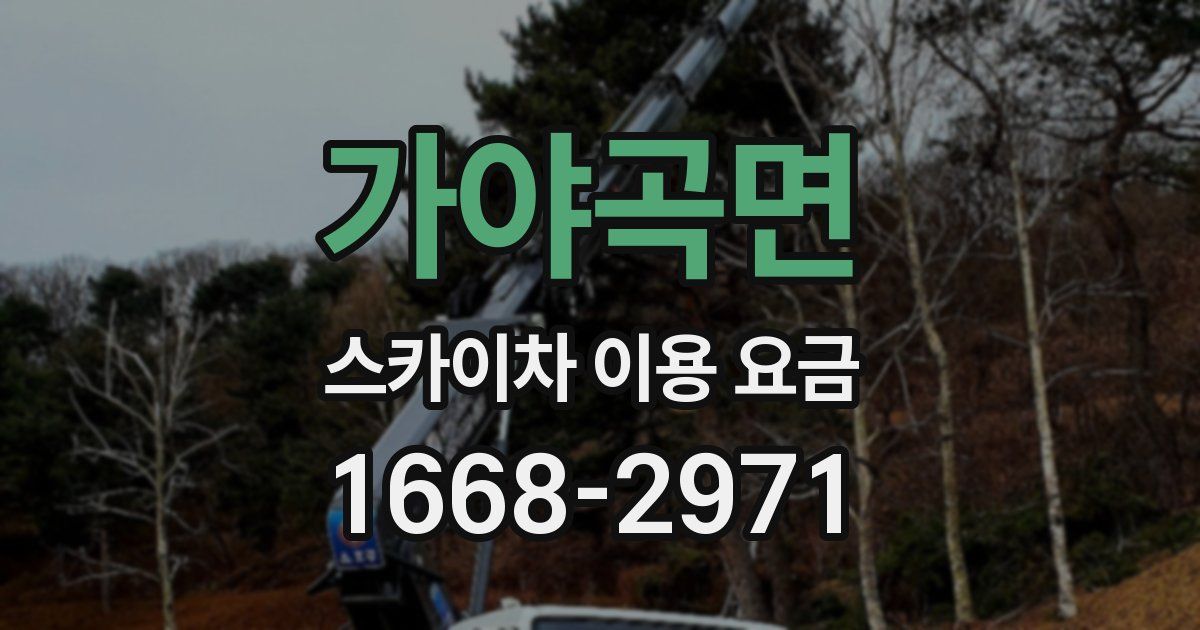 가야곡면 스카이차 이용 요금