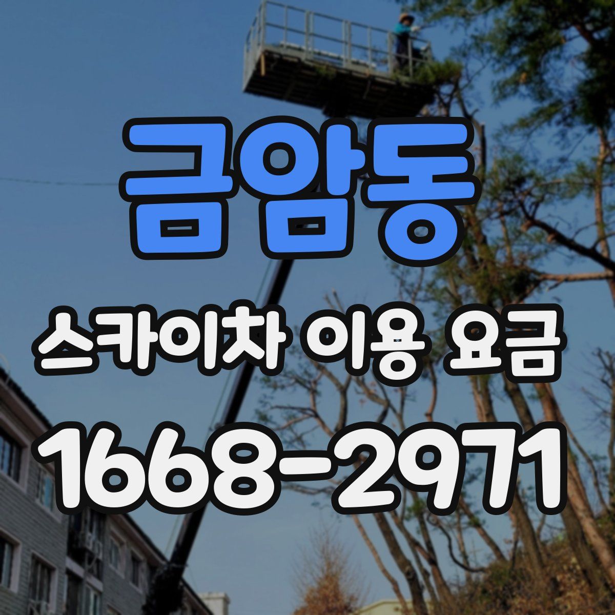 금암동 스카이차 이용 요금
