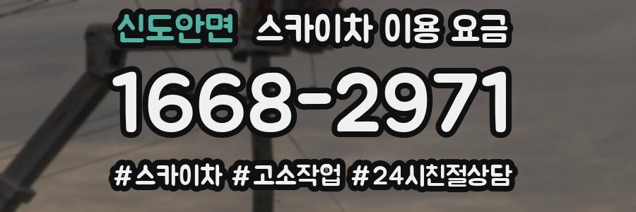 신도안면 스카이차 이용 요금