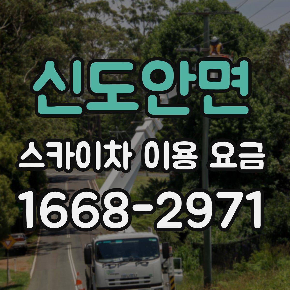 신도안면 스카이차 이용 요금