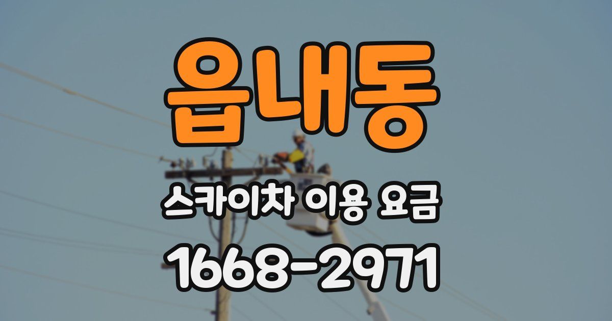 읍내동 스카이차 이용 요금