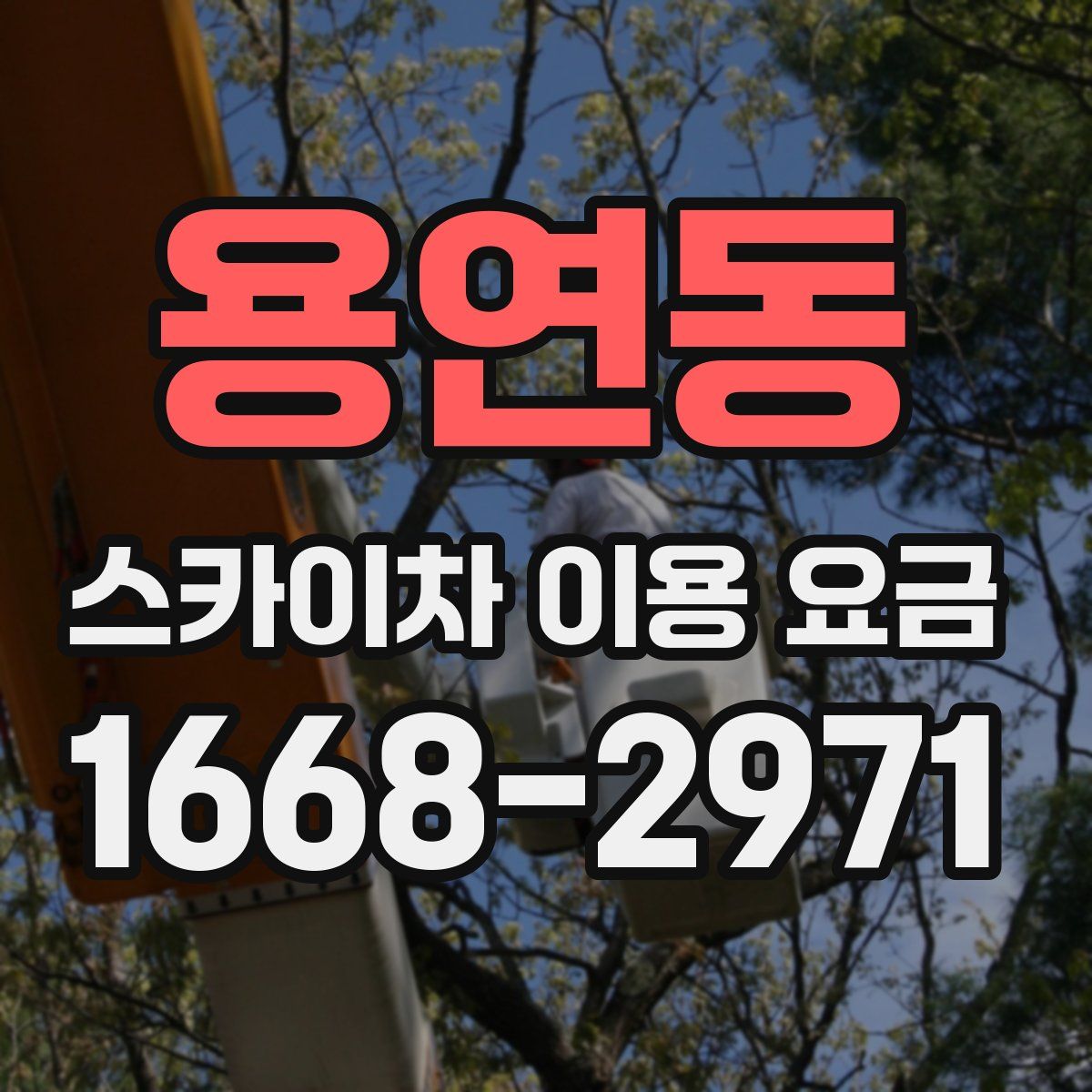 용연동 스카이차 이용 요금