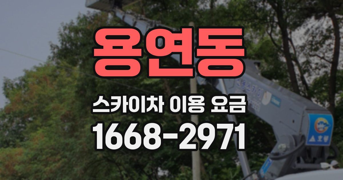 용연동 스카이차 이용 요금