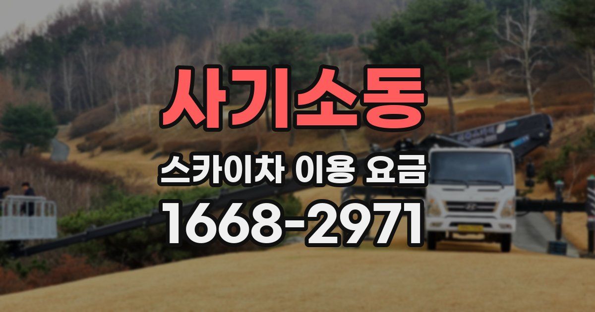사기소동 스카이차 이용 요금