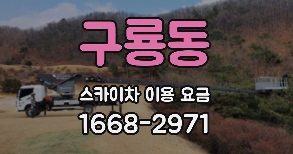 구룡동 스카이차 이용 요금