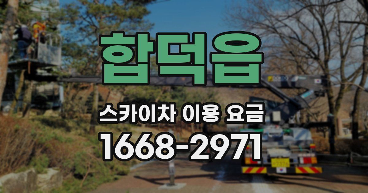 합덕읍 스카이차 이용 요금