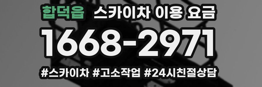 합덕읍 스카이차 이용 요금