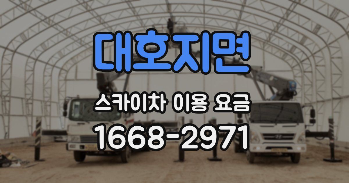 대호지면 스카이차 이용 요금