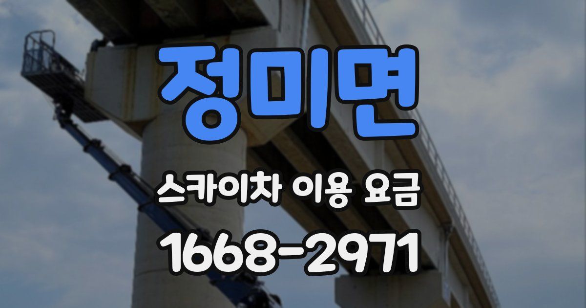 정미면 스카이차 이용 요금