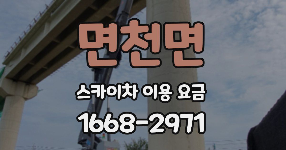면천면 스카이차 이용 요금