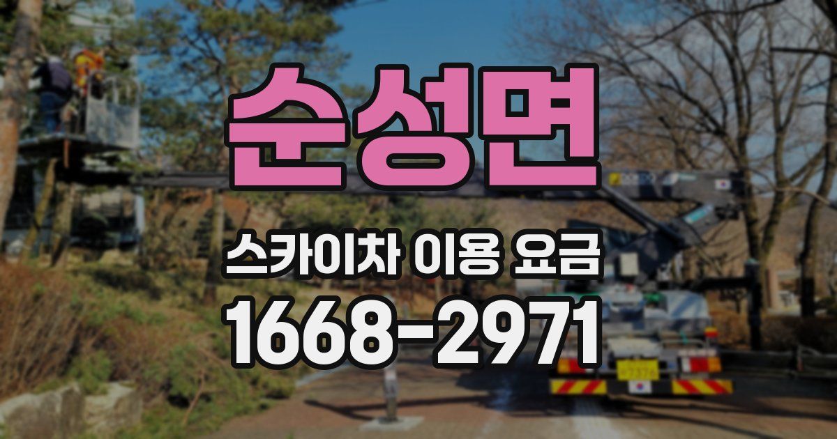 순성면 스카이차 이용 요금