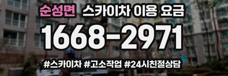 순성면 스카이차 이용 요금