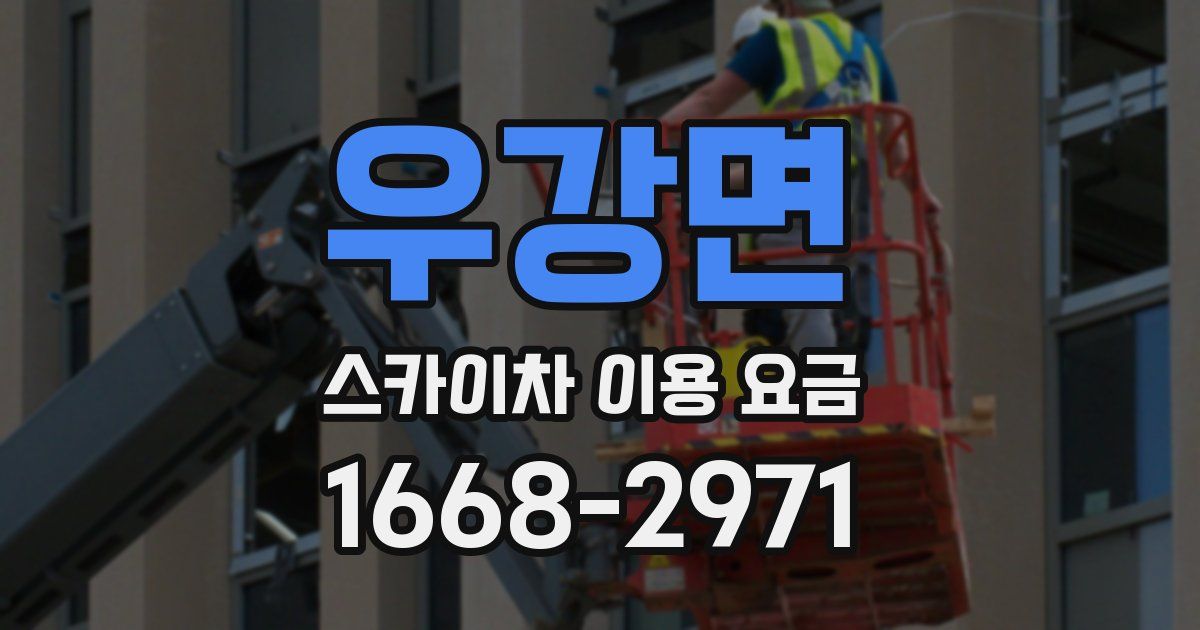 우강면 스카이차 이용 요금
