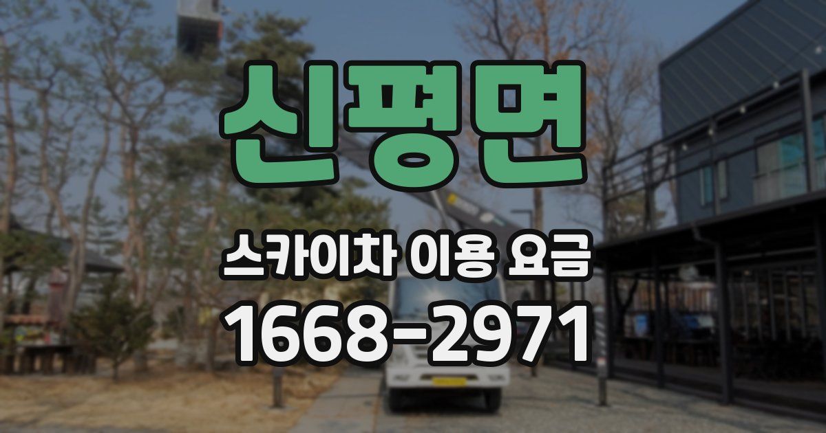 신평면 스카이차 이용 요금
