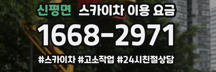 신평면 스카이차 이용 요금