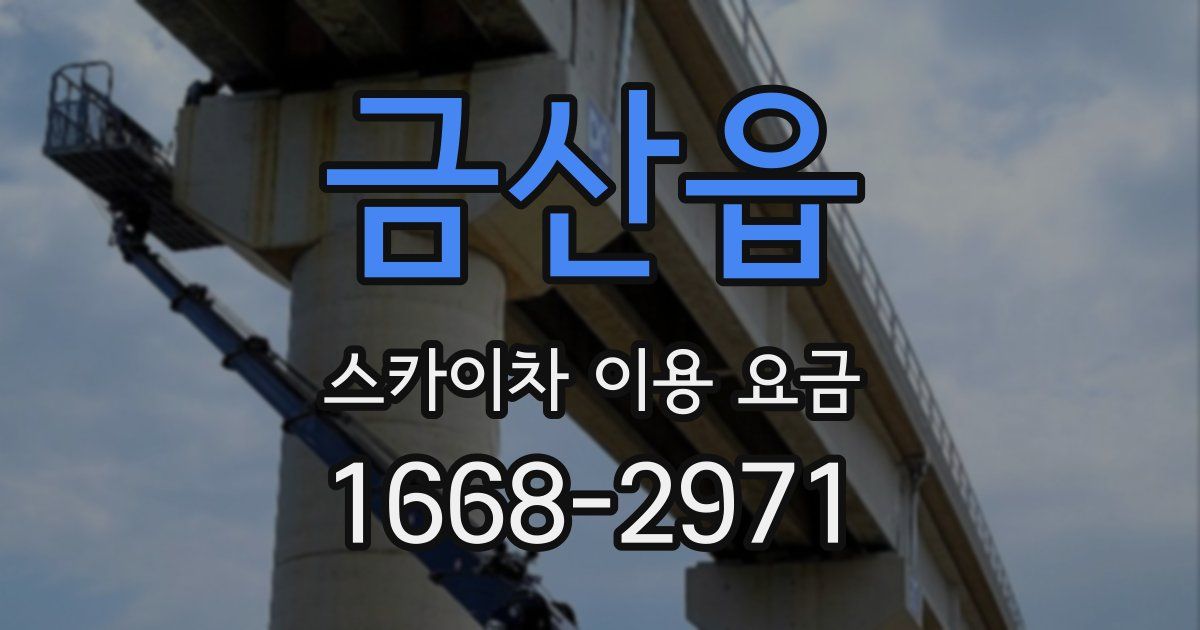 금산읍 스카이차 이용 요금
