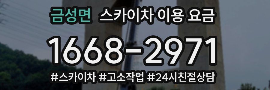 금성면 스카이차 이용 요금
