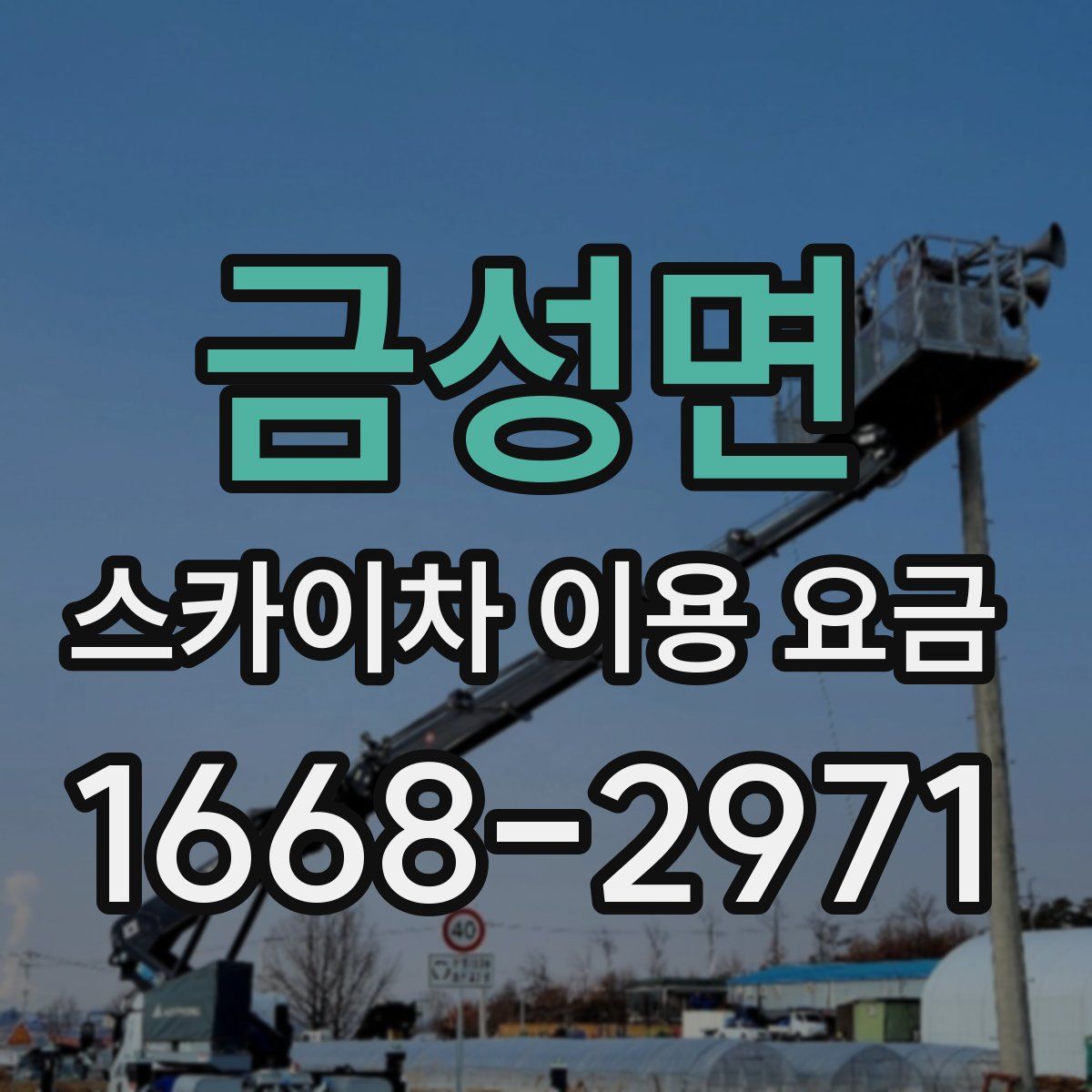 금성면 스카이차 이용 요금