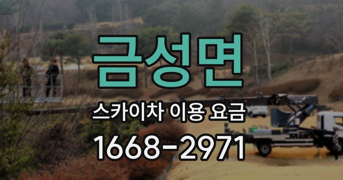 금성면 스카이차 이용 요금
