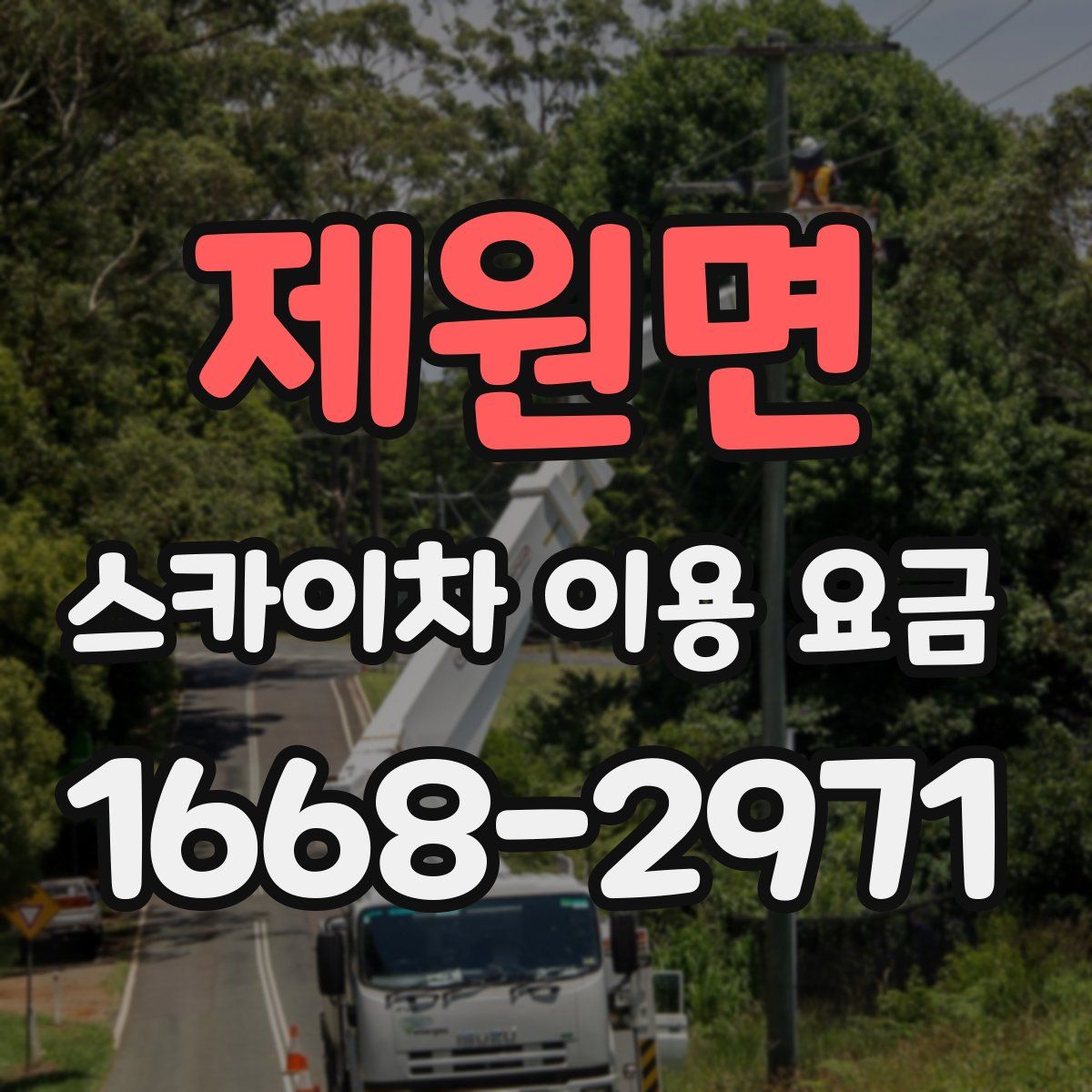 제원면 스카이차 이용 요금
