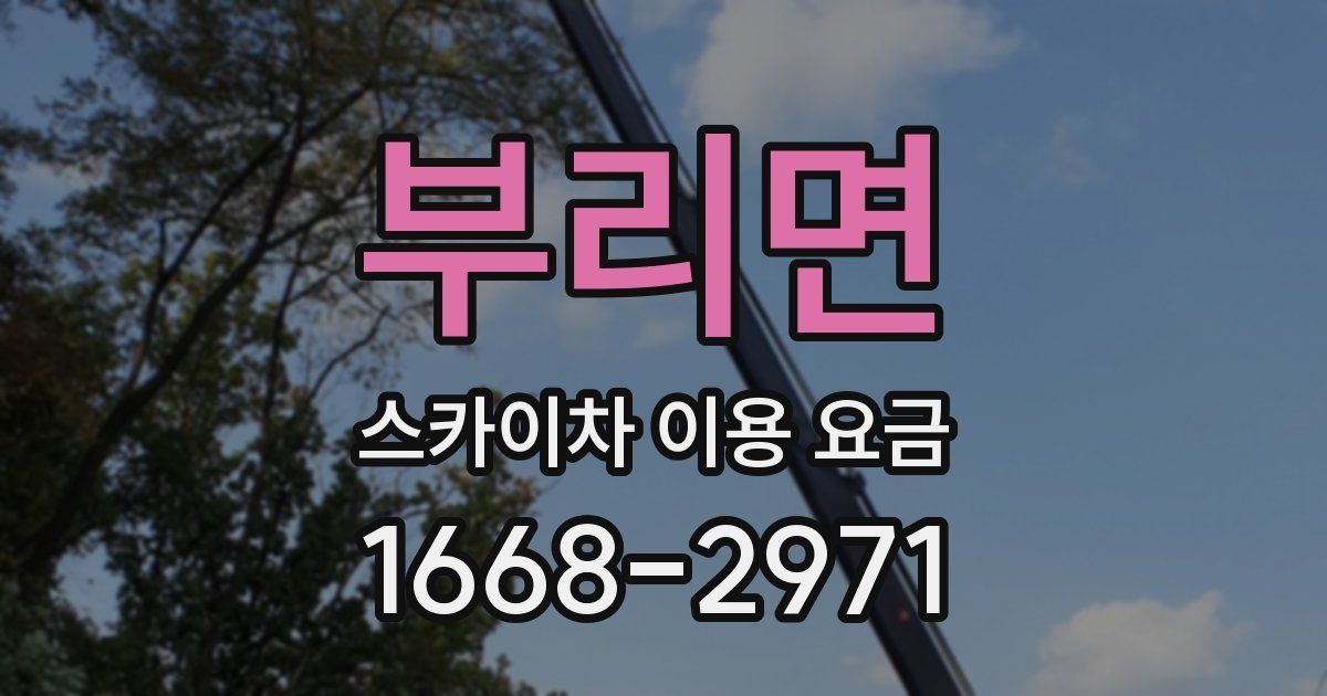부리면 스카이차 이용 요금