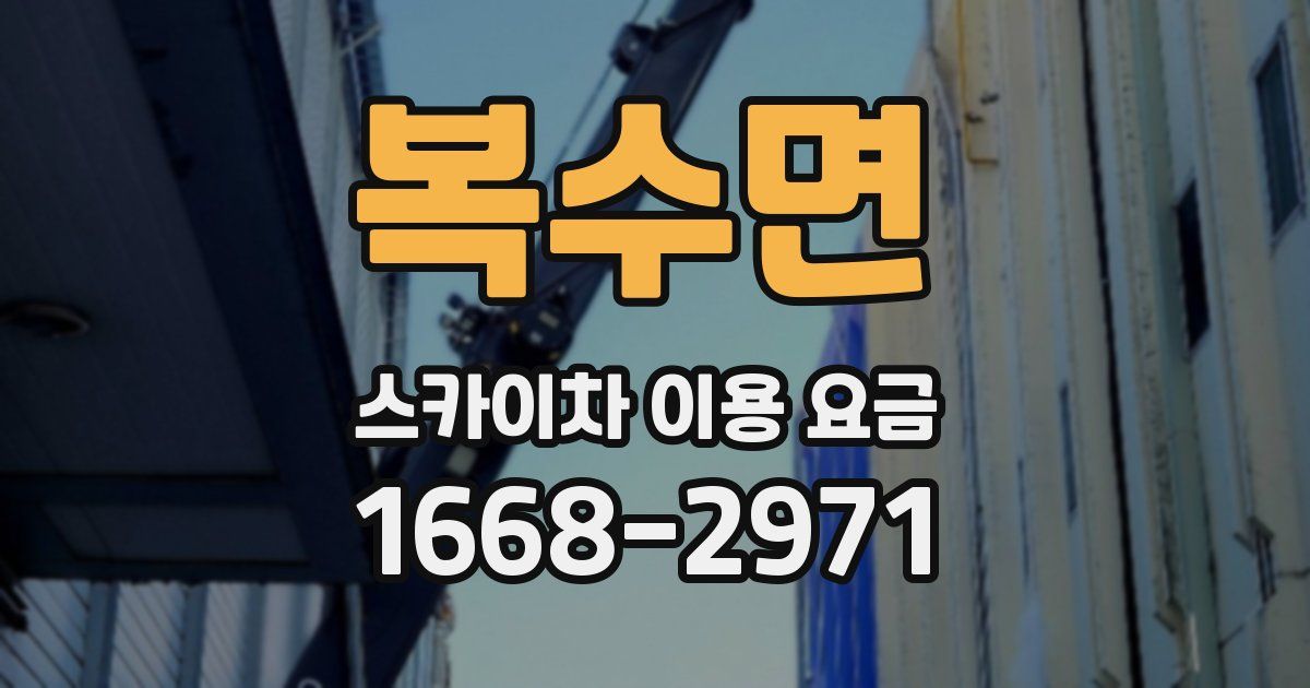 복수면 스카이차 이용 요금