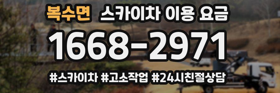 복수면 스카이차 이용 요금