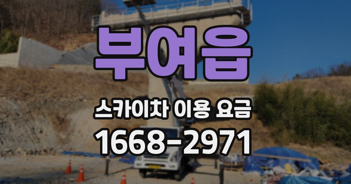 부여읍 스카이차 이용 요금