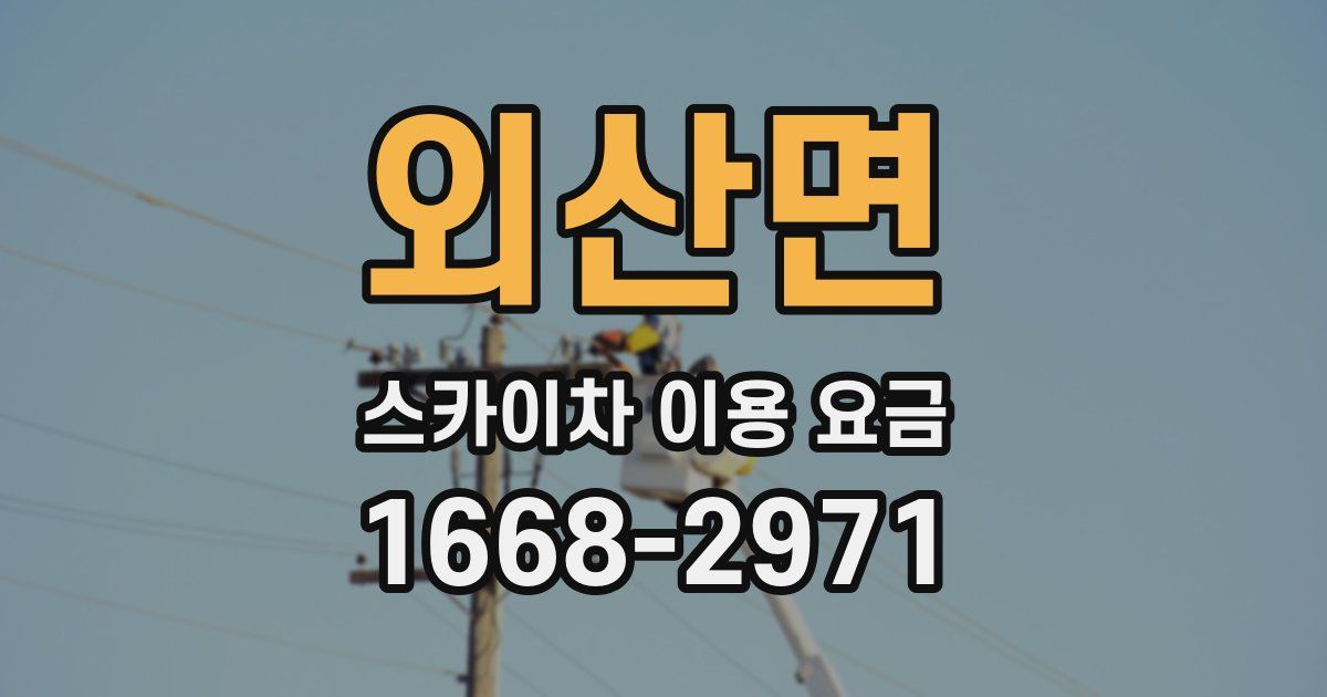 외산면 스카이차 이용 요금