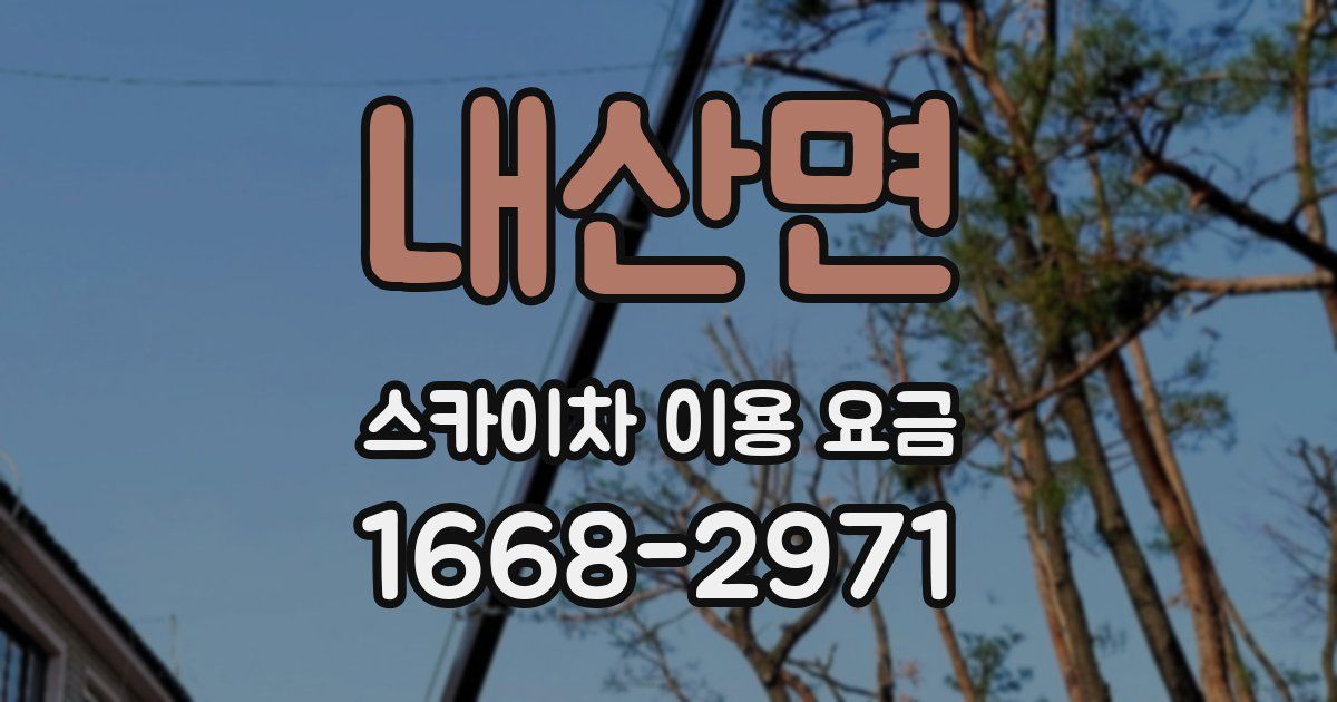 내산면 스카이차 이용 요금