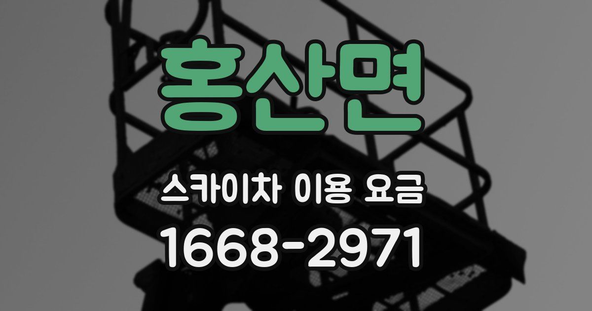 홍산면 스카이차 이용 요금