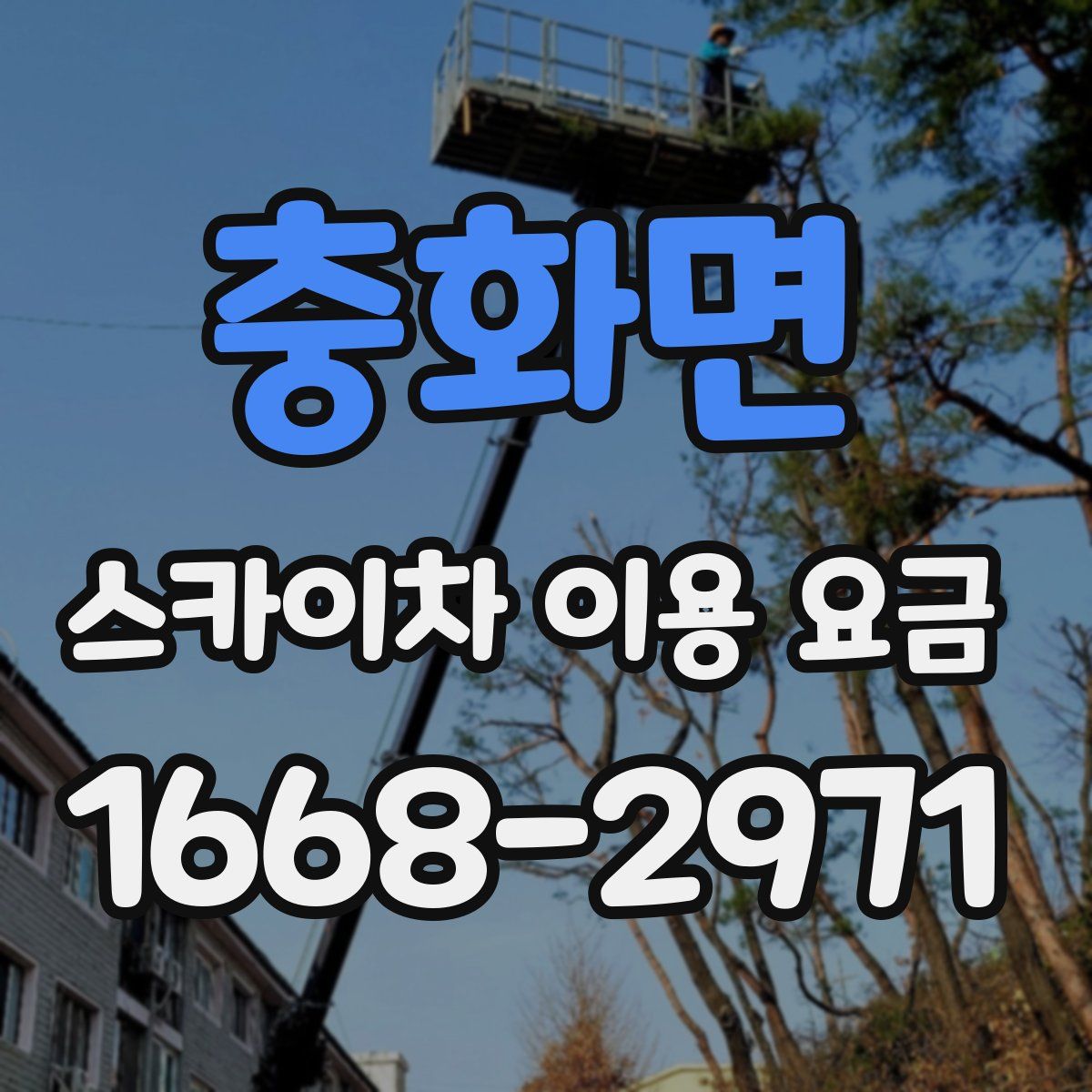 충화면 스카이차 이용 요금