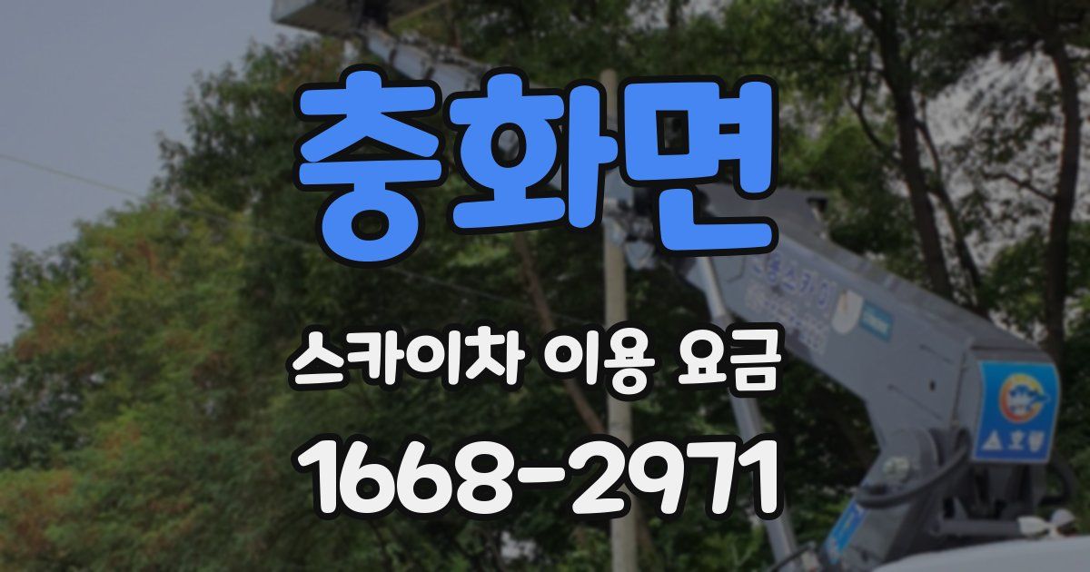 충화면 스카이차 이용 요금