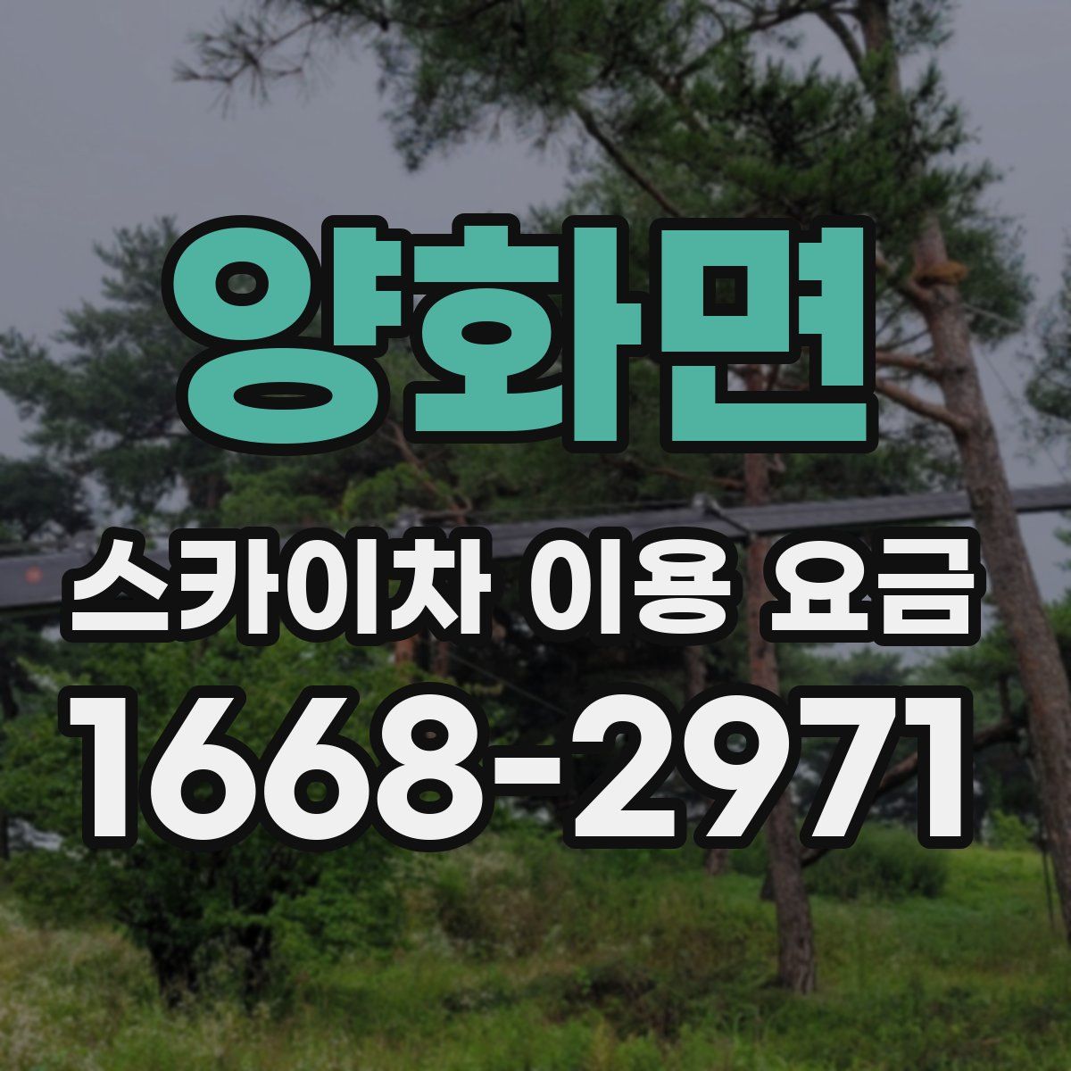 양화면 스카이차 이용 요금