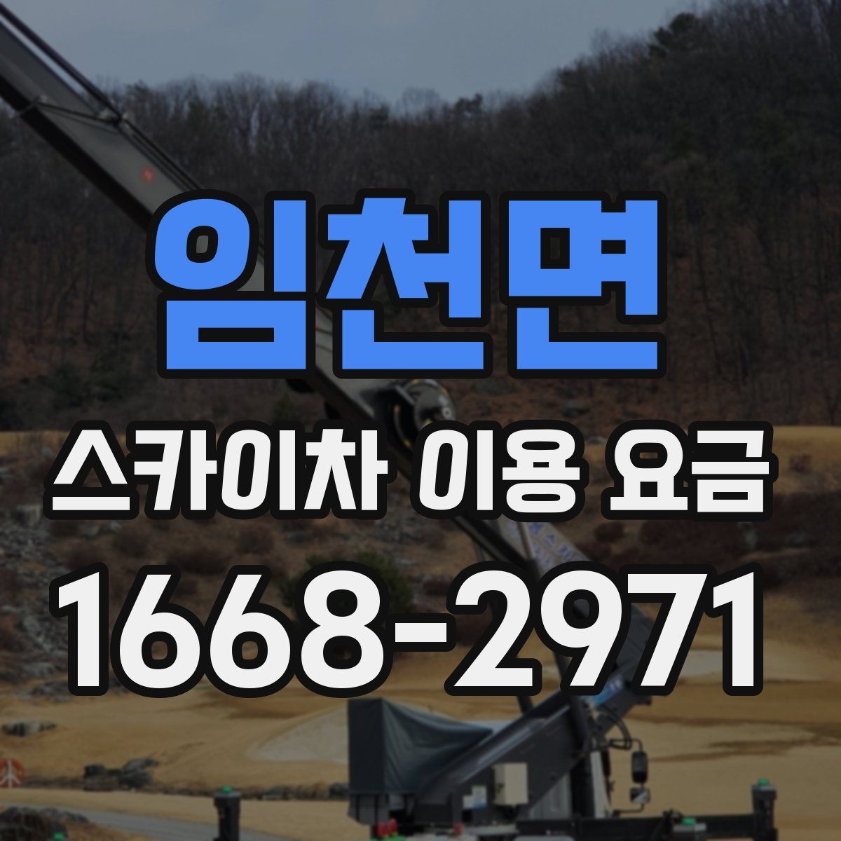 임천면 스카이차 이용 요금