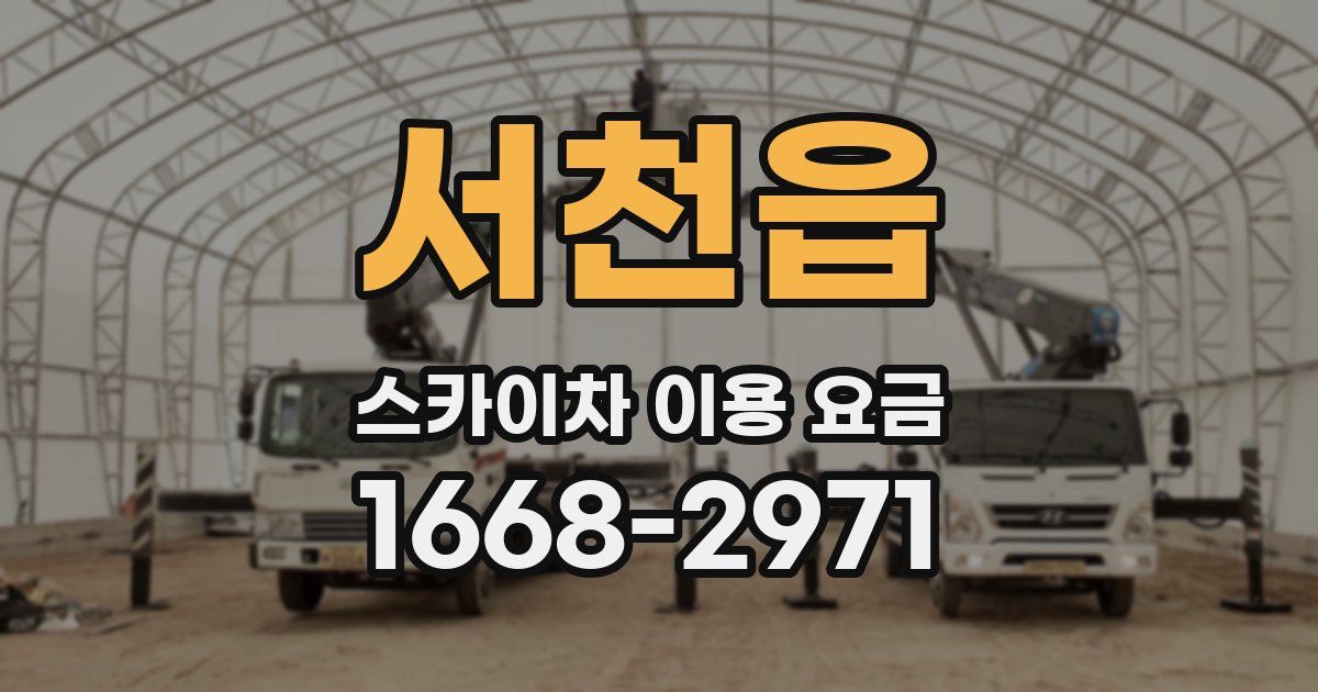 서천읍 스카이차 이용 요금