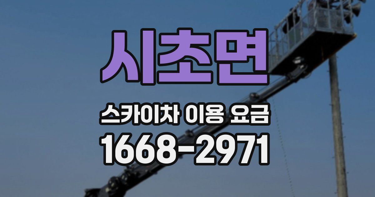 시초면 스카이차 이용 요금