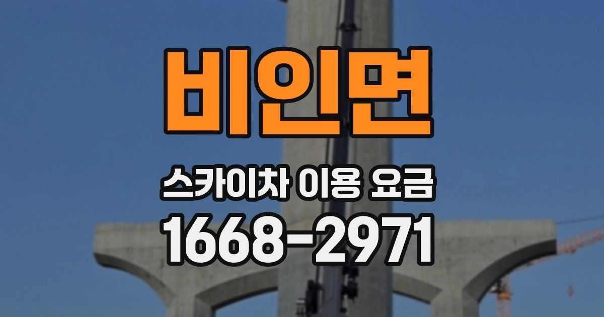 비인면 스카이차 이용 요금