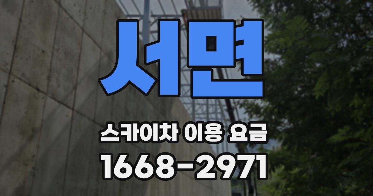 서면 스카이차 이용 요금