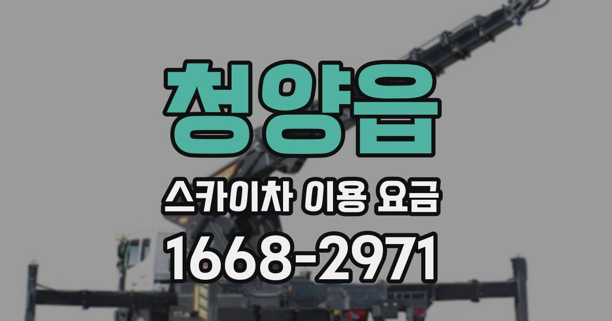 청양읍 스카이차 이용 요금