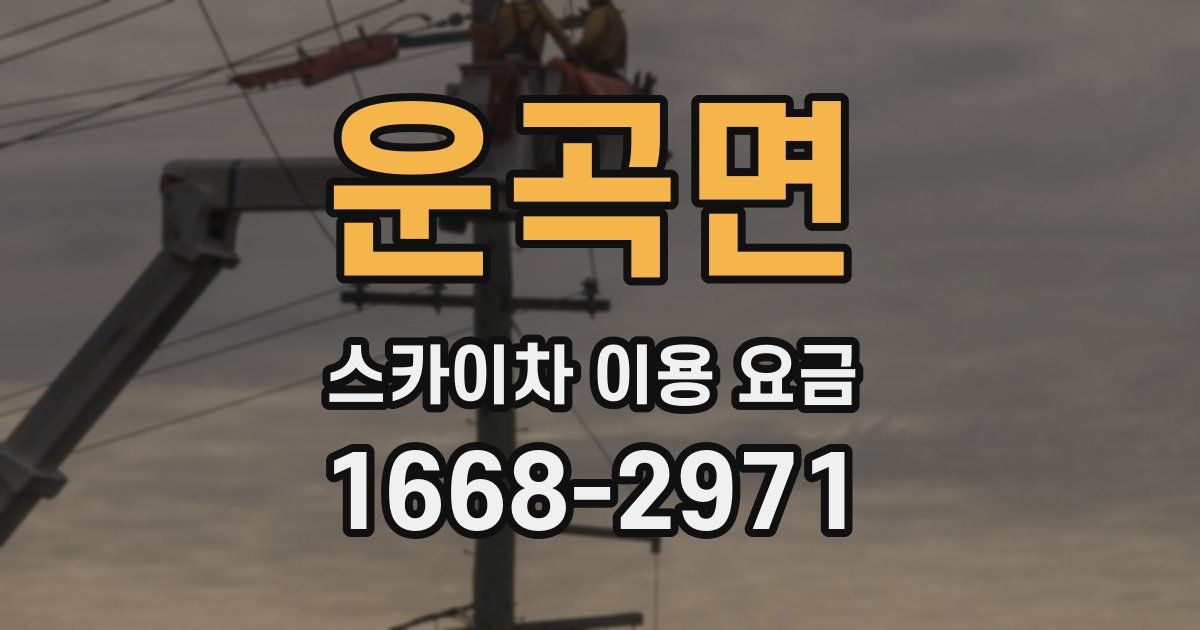 운곡면 스카이차 이용 요금